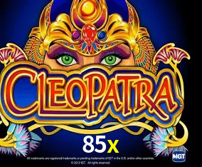 85x Curitiba - Live Status